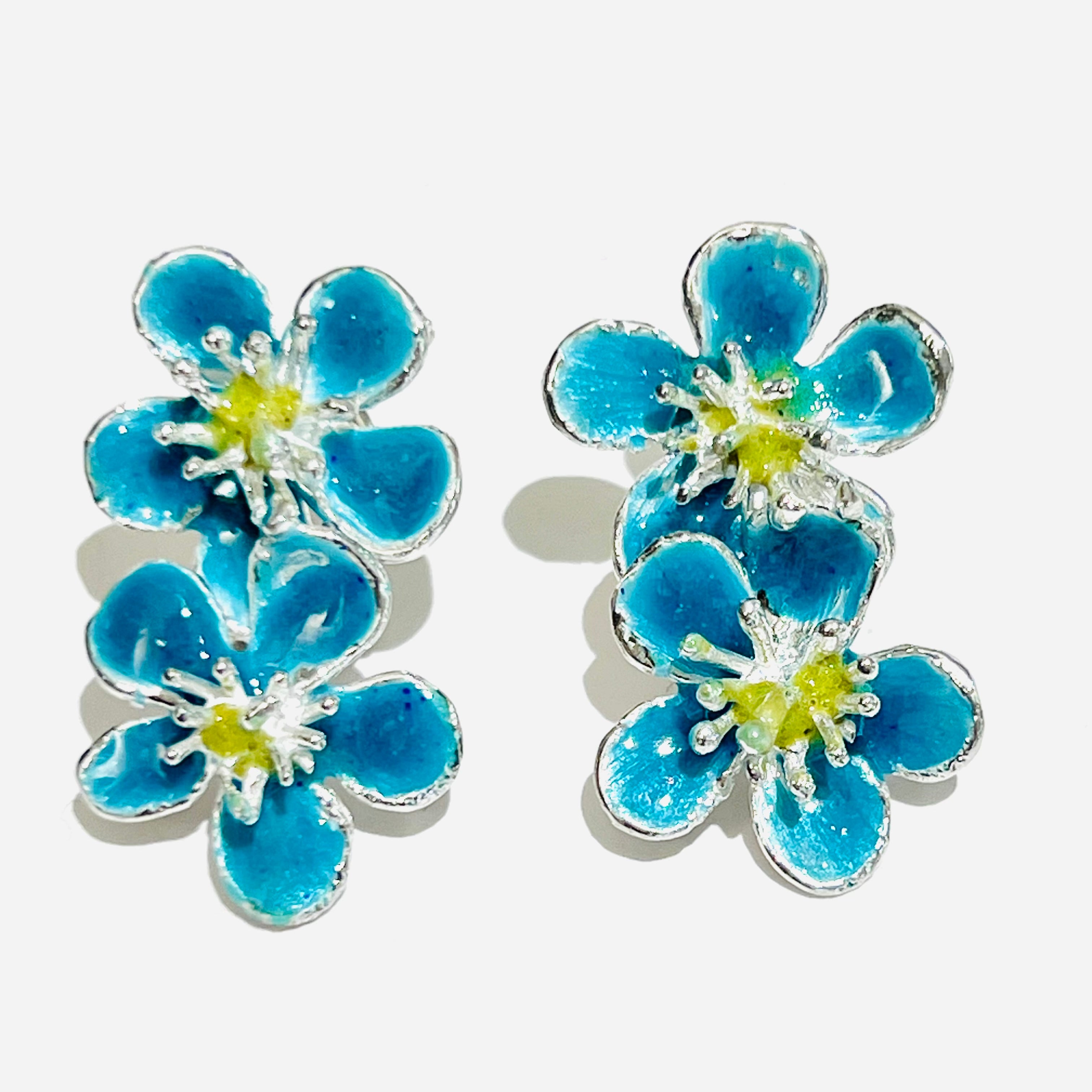 Blauezwillingsblume