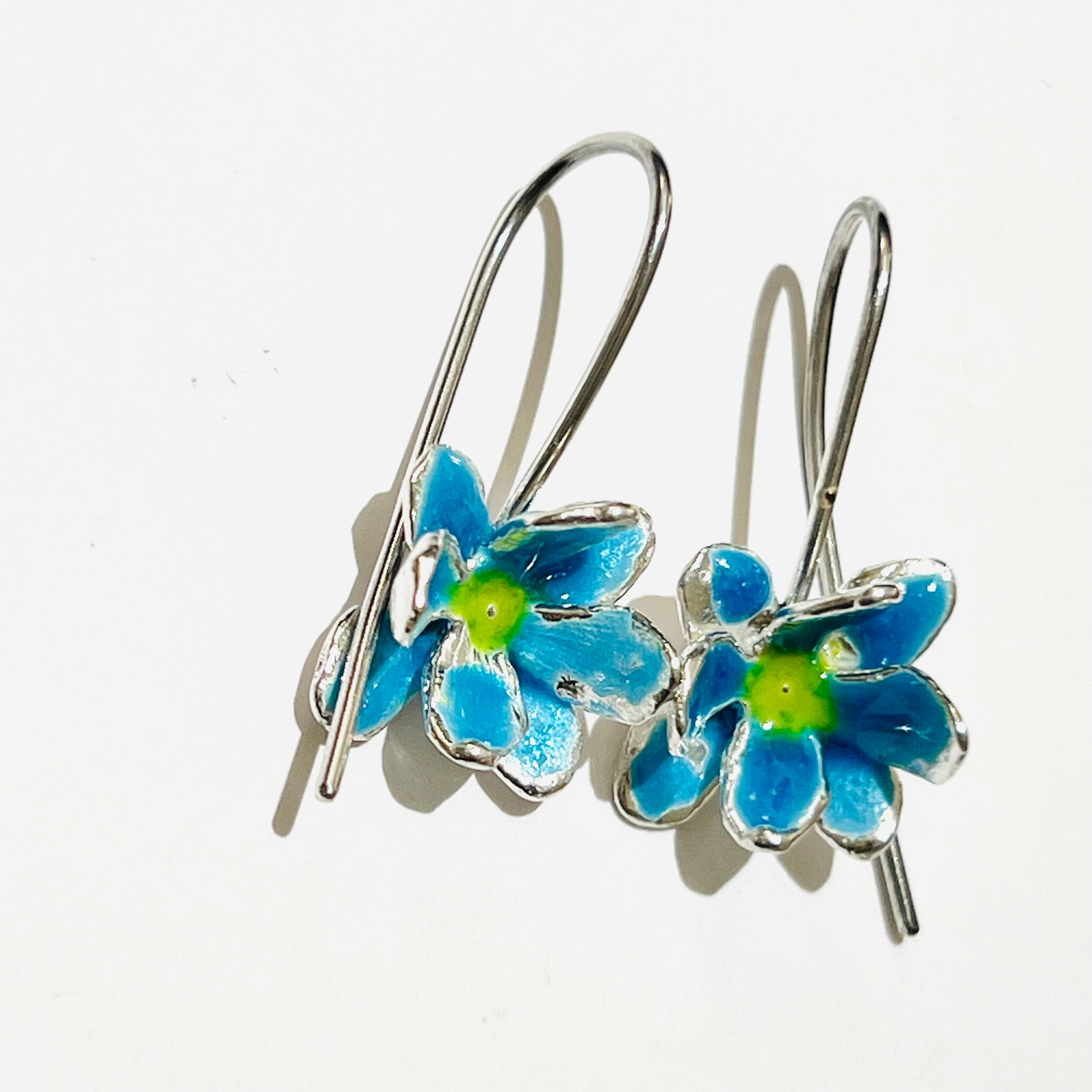 Blauehängeblümchen